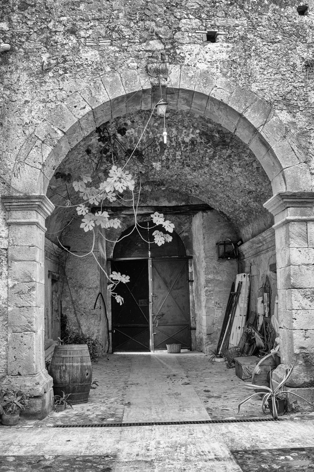 descrizione immagine