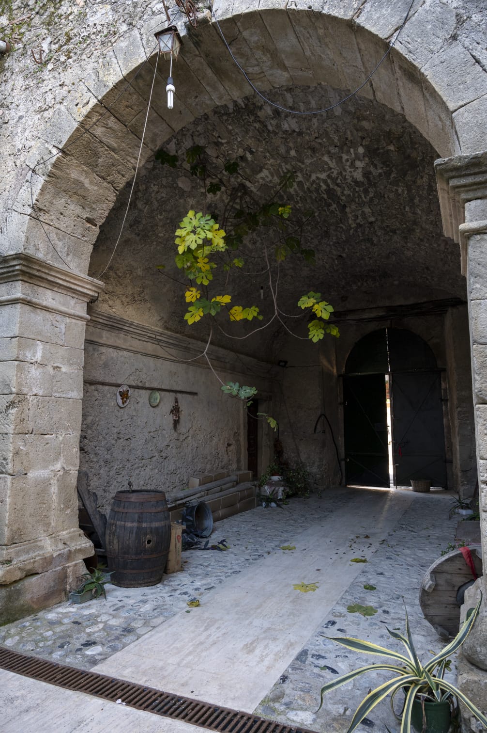 descrizione immagine